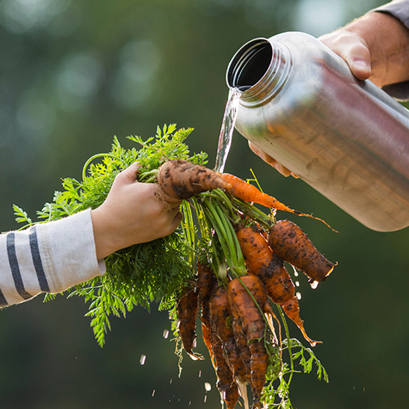 64oz-wide-with-loop-cap-a8 64oz_wide_mouth_bottle_carrots_rinse_square.jpg