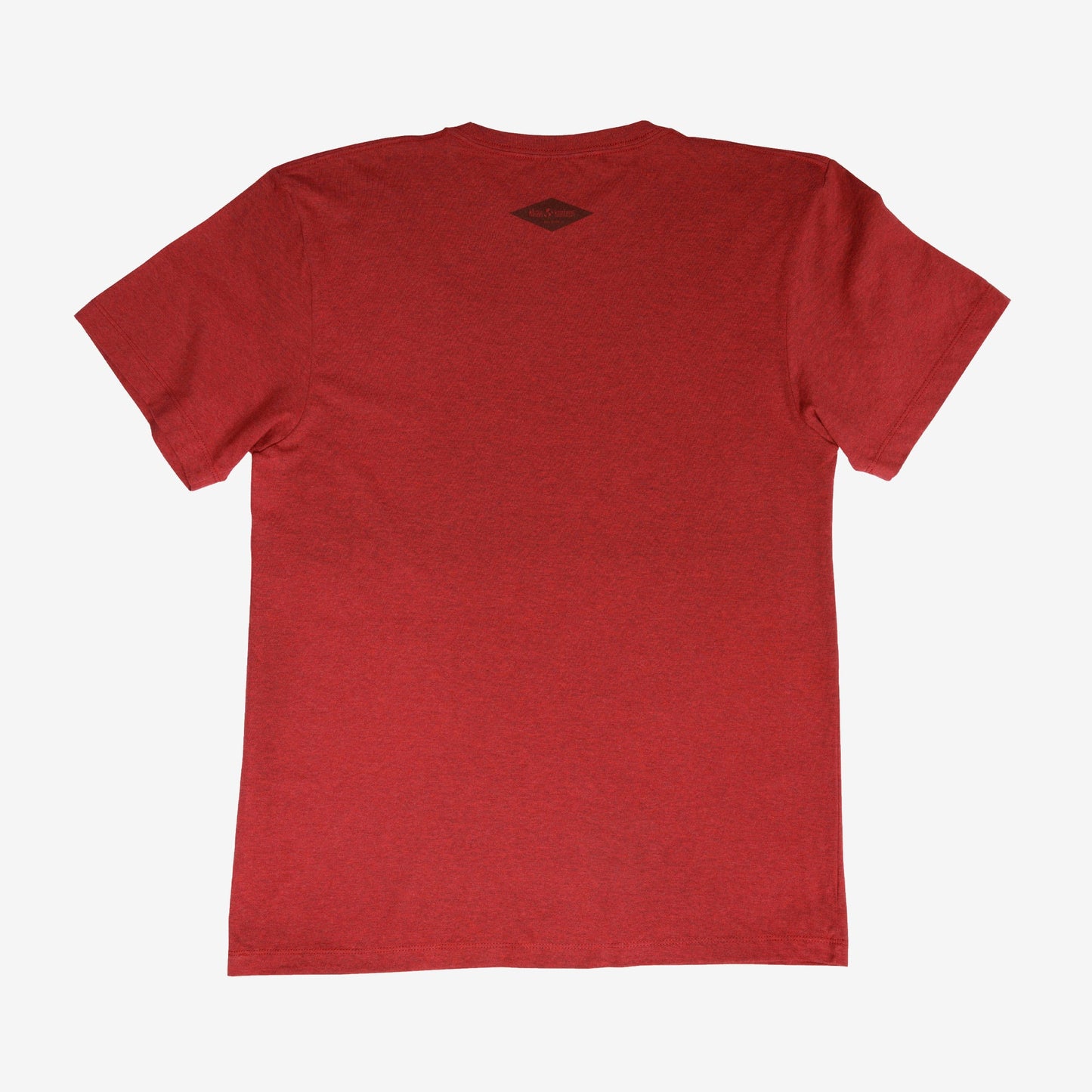 backyard-t-shirt-e9 Shirt_Mtn_Back.jpg